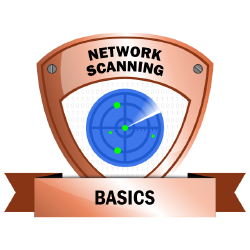 Network Scanning Basics