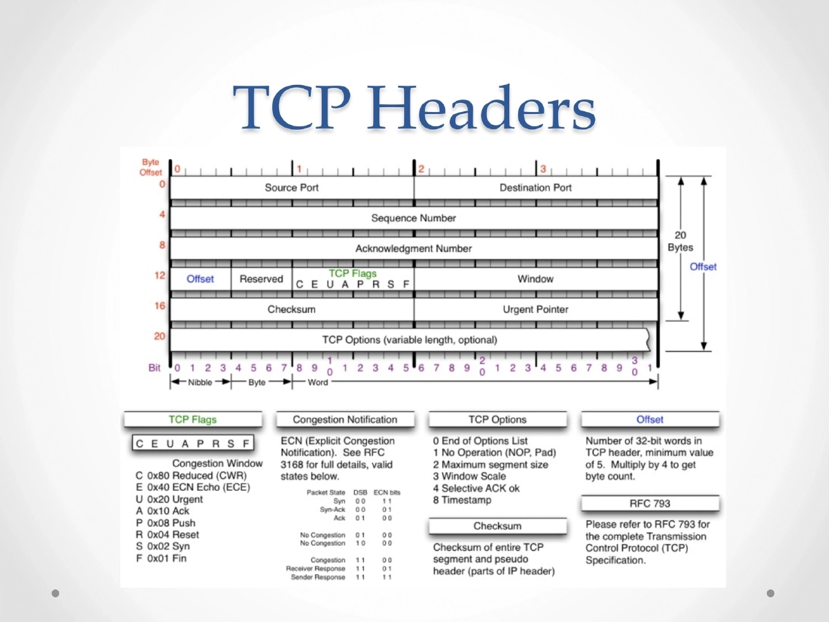 Slide 5 of Mobile Top10 M3