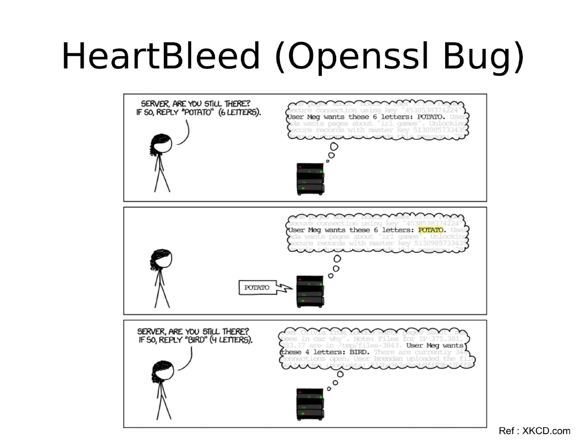 Slide 5 of Rootconf Heartbleed