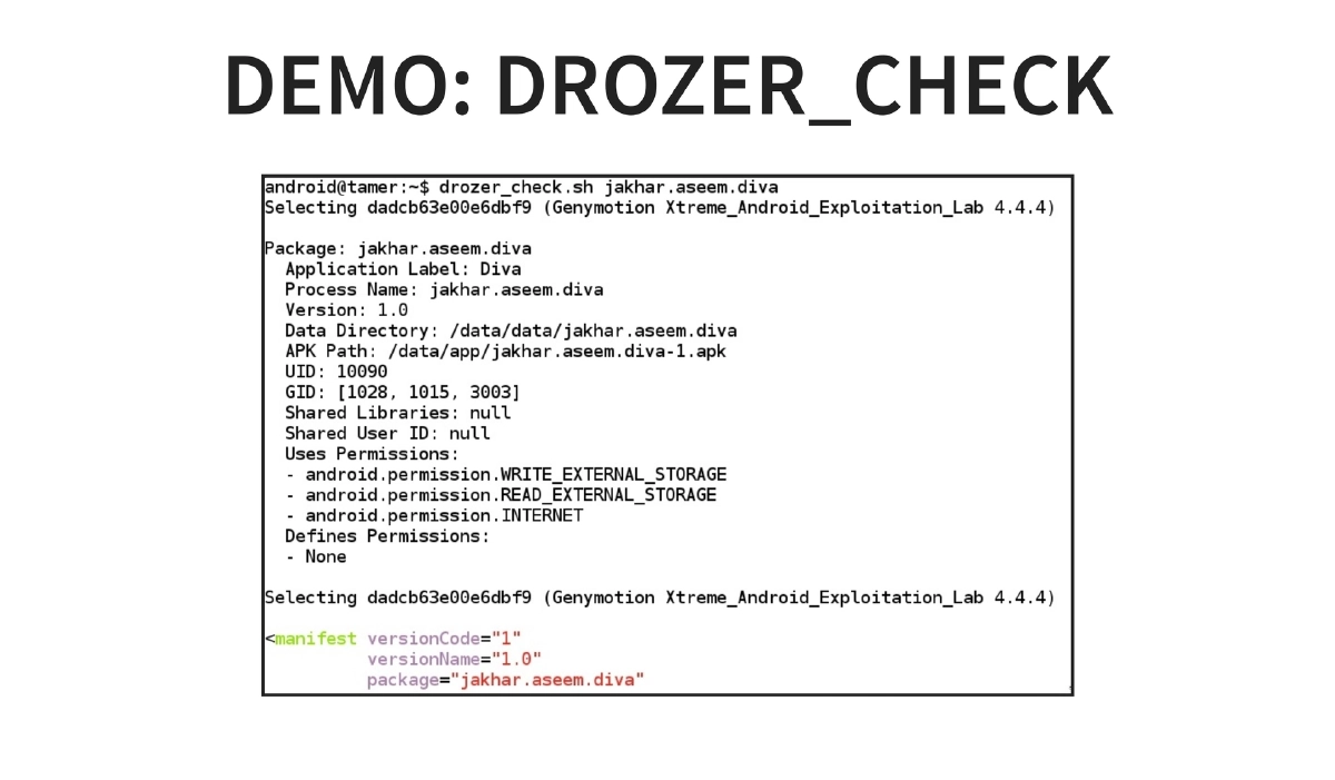 Slide 13 of BlackHat Asia Arsenal Tamer