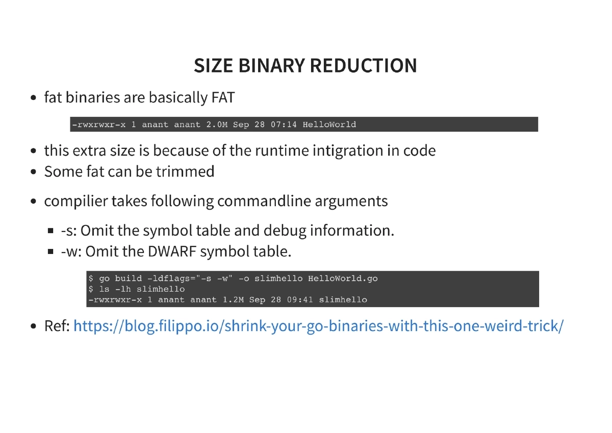 Slide 24 of Golang For Pentesters